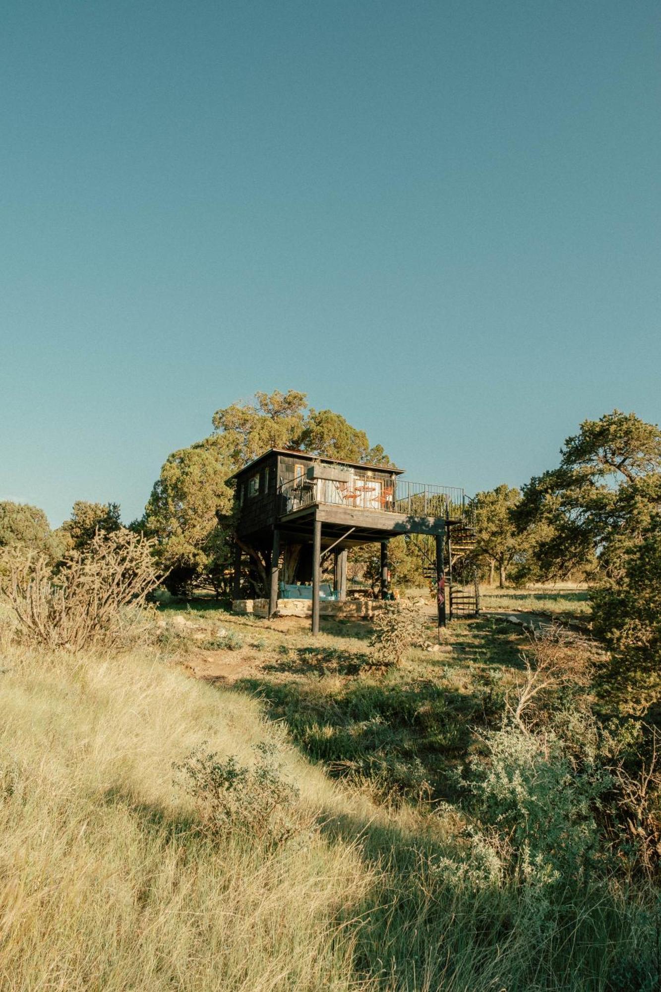Вілла Ashley'S Treehouse At El Mistico Ranch Nogal Екстер'єр фото