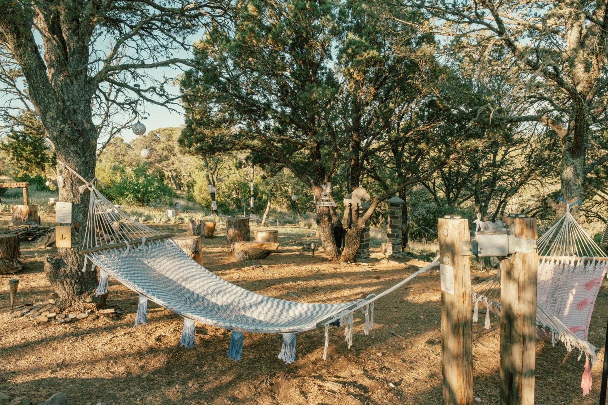 Вілла Ashley'S Treehouse At El Mistico Ranch Nogal Екстер'єр фото