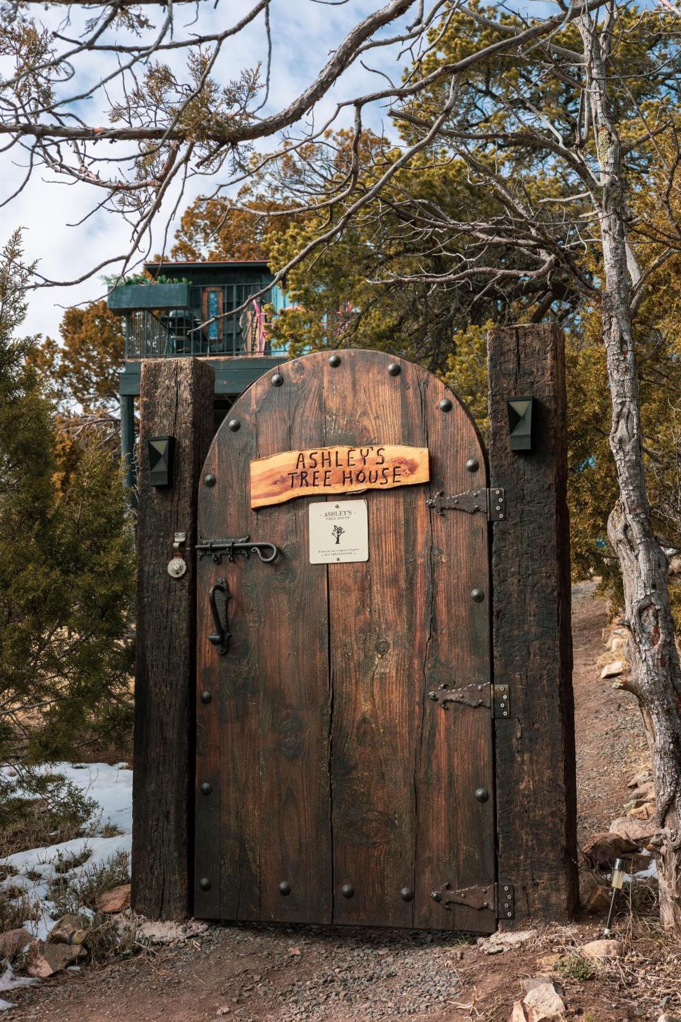 Вілла Ashley'S Treehouse At El Mistico Ranch Nogal Екстер'єр фото